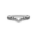 Δαχτυλίδι ασ. 925 wishbone, σπόροι