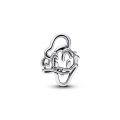 Σύμβολο ασ. 925, Disney Donald Duck