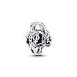 Σύμβολο ασ. 925, Disney Donald Duck